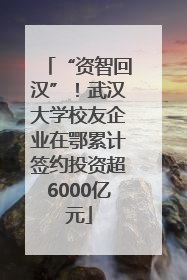 “资智回汉”！武汉大学校友企业在鄂累计签约投资超6000亿元