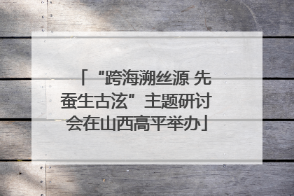 “跨海溯丝源 先蚕生古泫”主题研讨会在山西高平举办