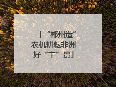 “郴州造”农机耕耘非洲好“丰”景