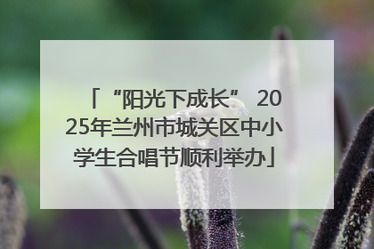 “阳光下成长” 2025年兰州市城关区中小学生合唱节顺利举办