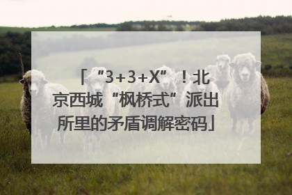 “3+3+X”！北京西城“枫桥式”派出所里的矛盾调解密码