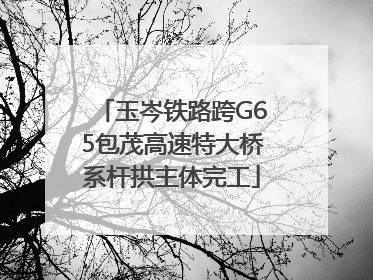 玉岑铁路跨G65包茂高速特大桥系杆拱主体完工