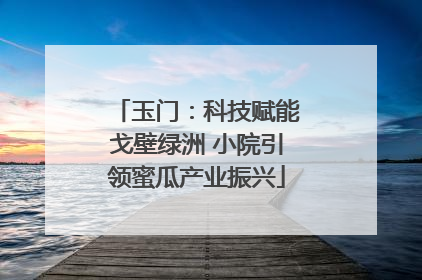 玉门：科技赋能戈壁绿洲 小院引领蜜瓜产业振兴