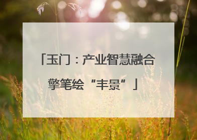 玉门：产业智慧融合 擎笔绘“丰景”