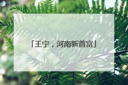 王宁，河南新首富