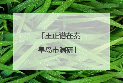 王正谱在秦皇岛市调研