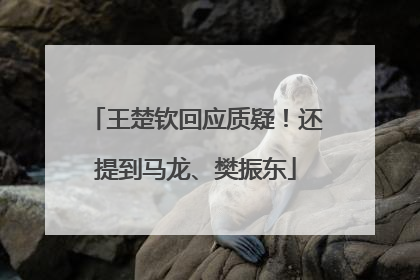 王楚钦回应质疑！还提到马龙、樊振东