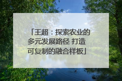 王超：探索农业的多元发展路径 打造可复制的融合样板