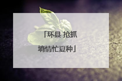 环县 抢抓墒情忙夏种