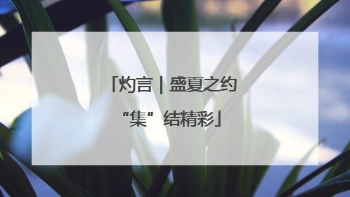 灼言｜盛夏之约 “集”结精彩