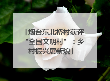 烟台东北桥村获评“全国文明村”：乡村振兴展新貌
