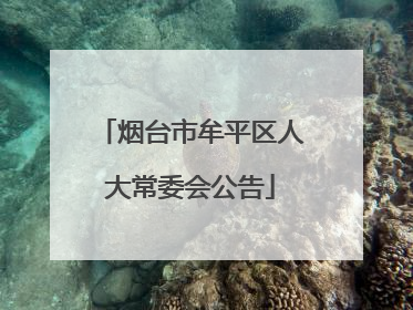 烟台市牟平区人大常委会公告