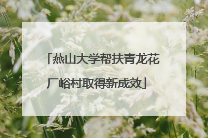 燕山大学帮扶青龙花厂峪村取得新成效