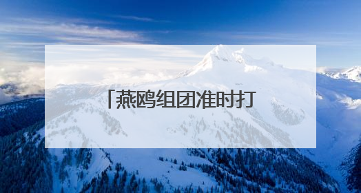燕鸥组团准时打卡厦门，亲密投喂大秀恩爱！