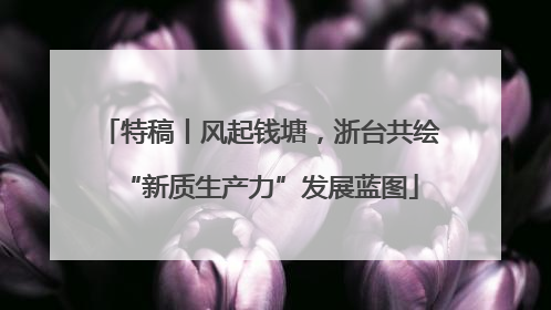 特稿丨风起钱塘，浙台共绘“新质生产力”发展蓝图