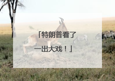 特朗普看了一出大戏！