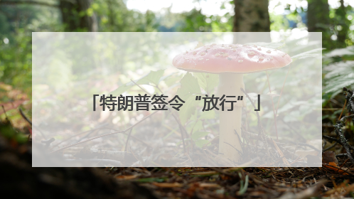 特朗普签令“放行”