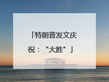 特朗普发文庆祝：“大胜”