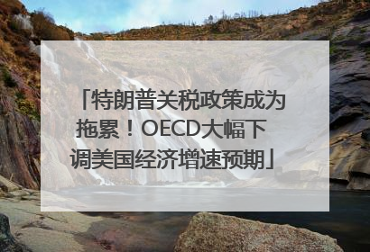 特朗普关税政策成为拖累！OECD大幅下调美国经济增速预期