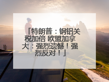 特朗普：钢铝关税加倍 欧盟加拿大：强烈遗憾！强烈反对！