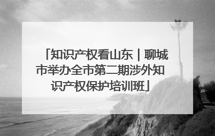 知识产权看山东｜聊城市举办全市第二期涉外知识产权保护培训班