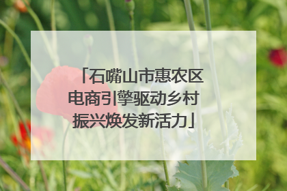石嘴山市惠农区电商引擎驱动乡村振兴焕发新活力