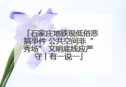 石家庄地铁现低俗恶搞事件 公共空间非“秀场” 文明底线应严守丨有一说一