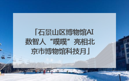 石景山区博物馆AI数智人“噗噗”亮相北京市博物馆科技月