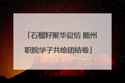 石榴籽聚华夏情 随州职院学子共绘团结卷