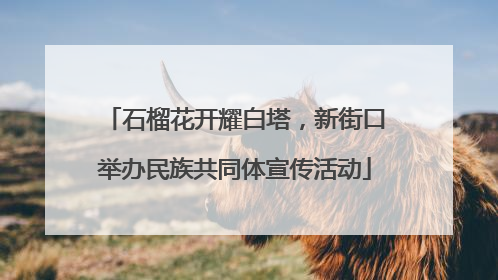 石榴花开耀白塔，新街口举办民族共同体宣传活动