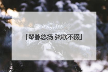 琴脉悠扬 弦歌不辍