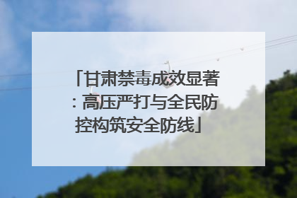 甘肃禁毒成效显著：高压严打与全民防控构筑安全防线