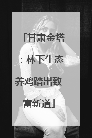 甘肃金塔：林下生态养鸡踏出致富新道
