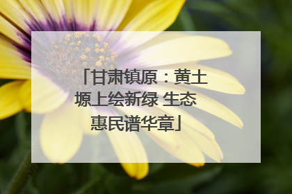 甘肃镇原：黄土塬上绘新绿 生态惠民谱华章