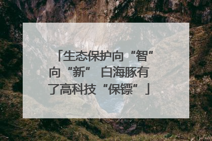 生态保护向“智”向“新” 白海豚有了高科技“保镖”