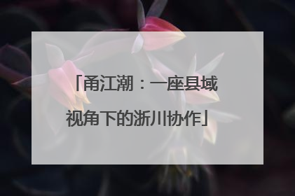 甬江潮：一座县域视角下的浙川协作