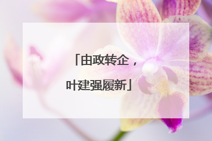 由政转企，叶建强履新