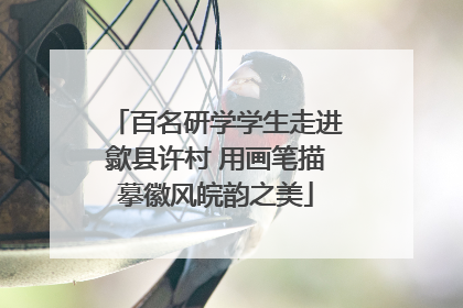 百名研学学生走进歙县许村 用画笔描摹徽风皖韵之美