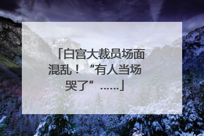 白宫大裁员场面混乱！“有人当场哭了”……