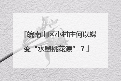 皖南山区小村庄何以蝶变“水墨桃花源”？