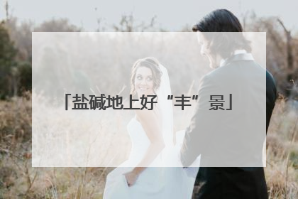 盐碱地上好“丰”景