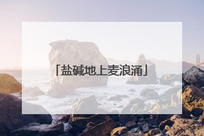 盐碱地上麦浪涌