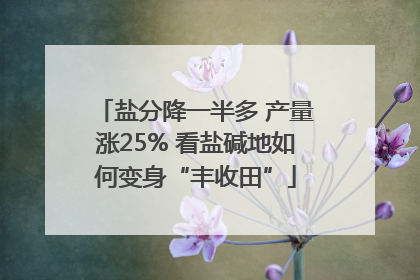 盐分降一半多 产量涨25% 看盐碱地如何变身“丰收田”