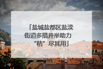 盐城盐都区盐渎街道多措并举助力“秸”尽其用