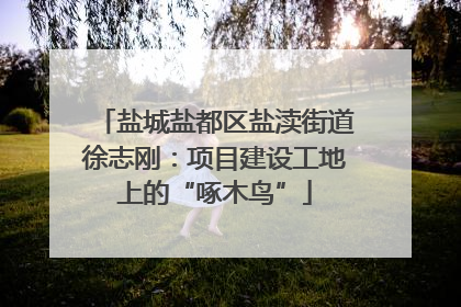 盐城盐都区盐渎街道徐志刚：项目建设工地上的“啄木鸟”