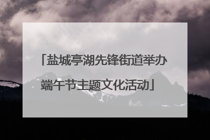 盐城亭湖先锋街道举办端午节主题文化活动
