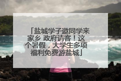 盐城学子邀同学来家乡 政府请客！这个暑假，大学生多项福利免费游盐城