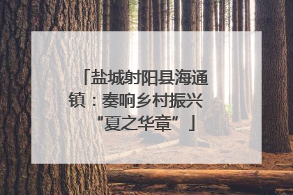 盐城射阳县海通镇：奏响乡村振兴“夏之华章”