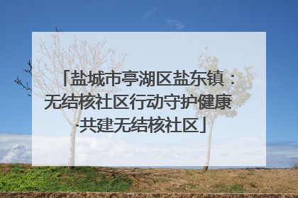 盐城市亭湖区盐东镇：无结核社区行动守护健康 ·共建无结核社区