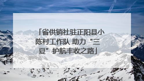 省供销社驻正阳县小陈村工作队 助力“三夏”护航丰收之路